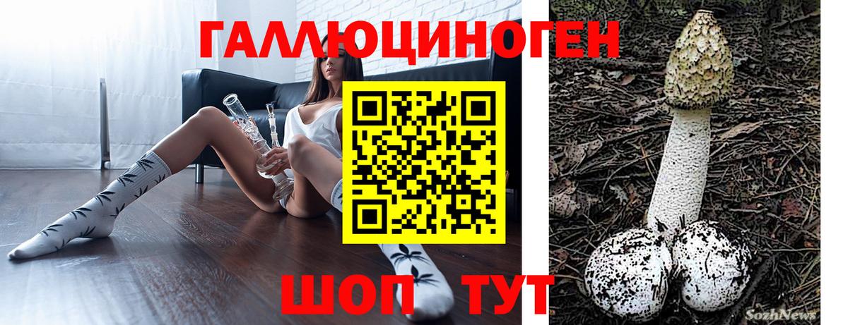 Псилоцибиновые грибы мухоморы  наркота  Кольчугино  Вход с VPN 